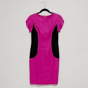 Vintage Magenta Fitted Dress